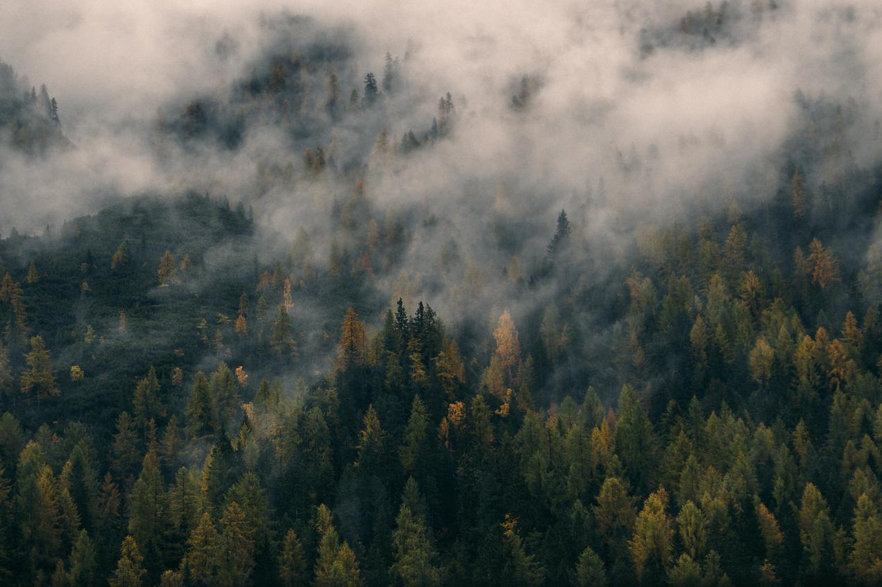 Voluptas ex accusantium sit nulla qui nesciunt